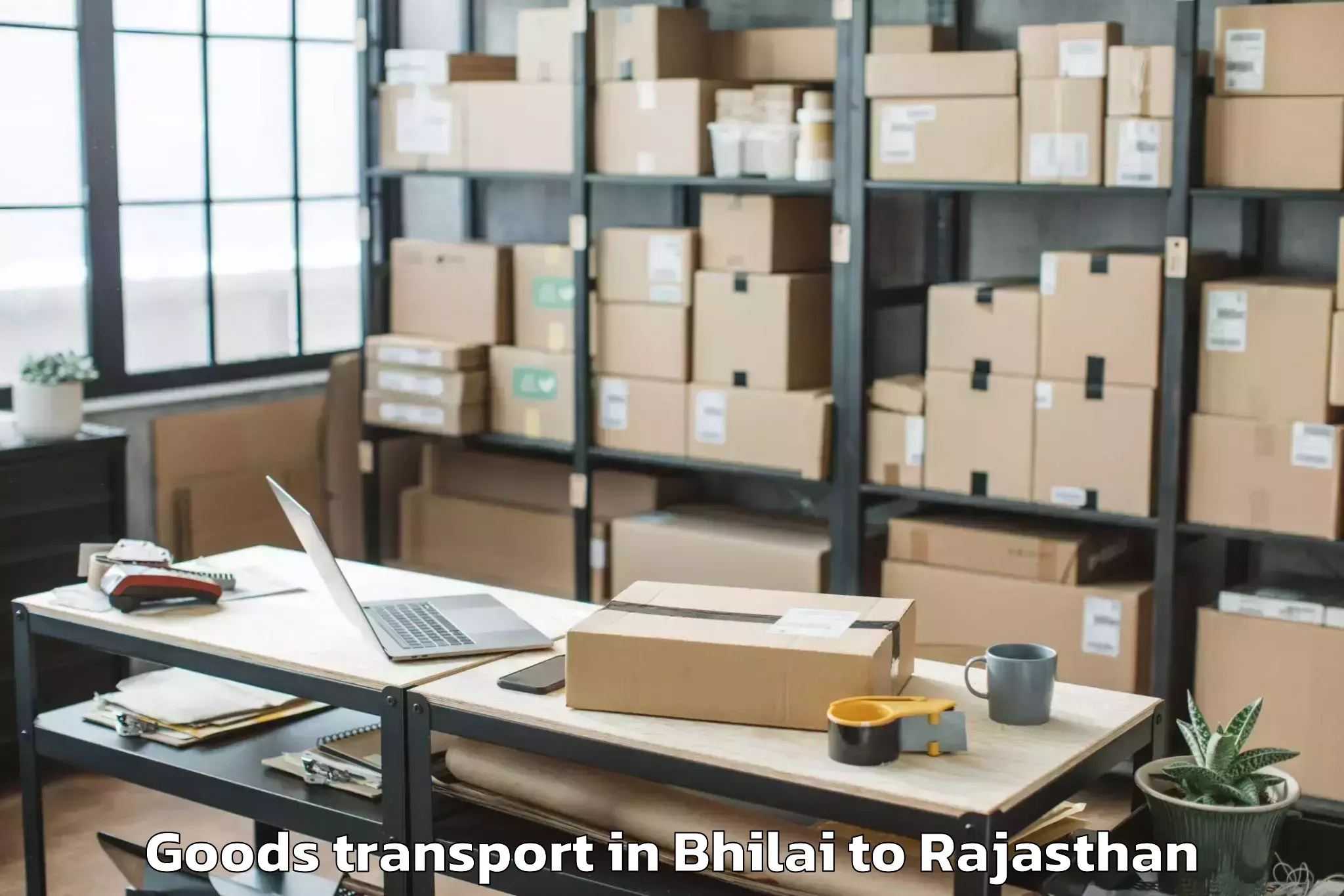 Discover Bhilai to Sardarshahr Goods Transport